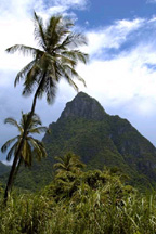 oct_pitons_small.jpg