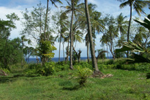 stlucia13_small.jpg