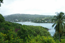 stlucia3_small.jpg
