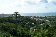 stlucia5_small.jpg